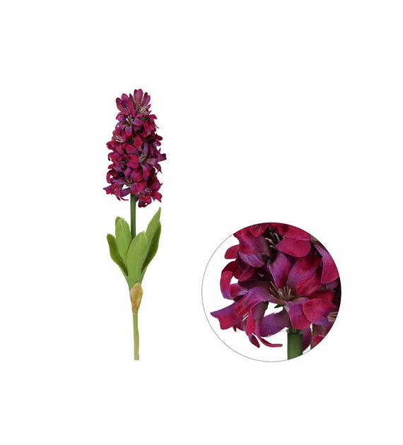 Hiacynt, 47cm,  fiolet