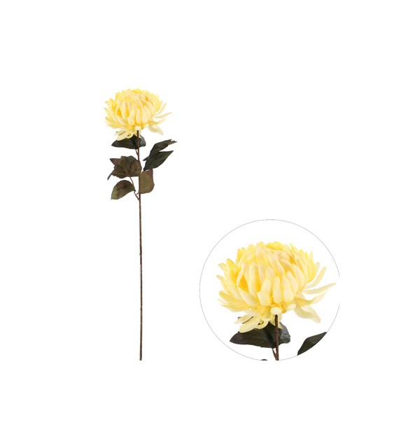 Chryzantema pojedyncza, 66cm, żółty
