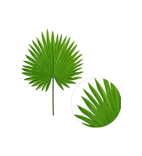 Liść palmy, 55cm, zielony