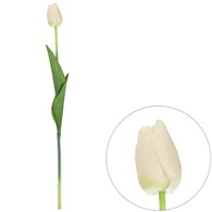 Tulipan pojedynczy na gałązce z omszałej jakości, 46cm, biały