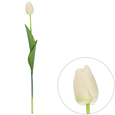 Tulipan pojedynczy na gałązce z omszałej jakości, 46cm, biały