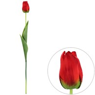 Tulipan pojedynczy na gałązce z omszałej jakości, 46cm, czerwony