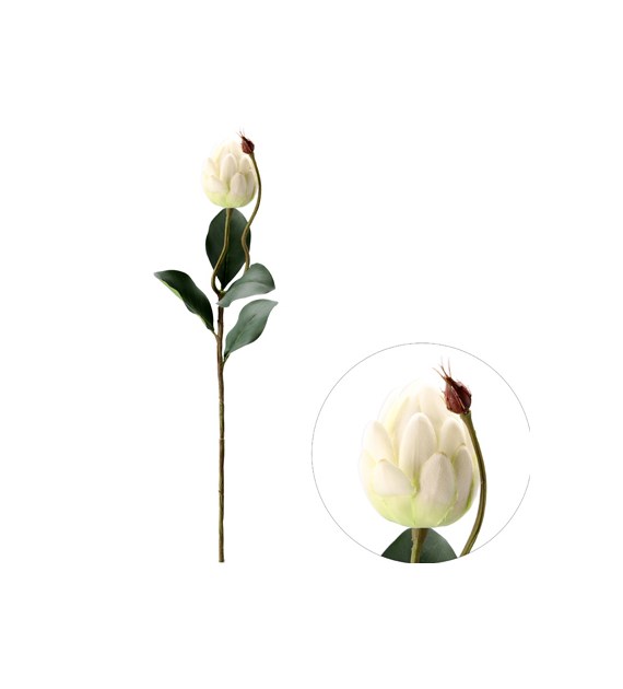 Protea z pączkiem, 63cm,  krem