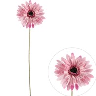 Gerbera pojedyncza na gałązce z omszałej jakości, 60cm, fiolet