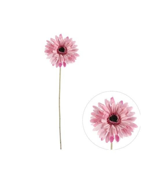 Gerbera pojedyncza na gałązce z omszałej jakości, 60cm, fiolet