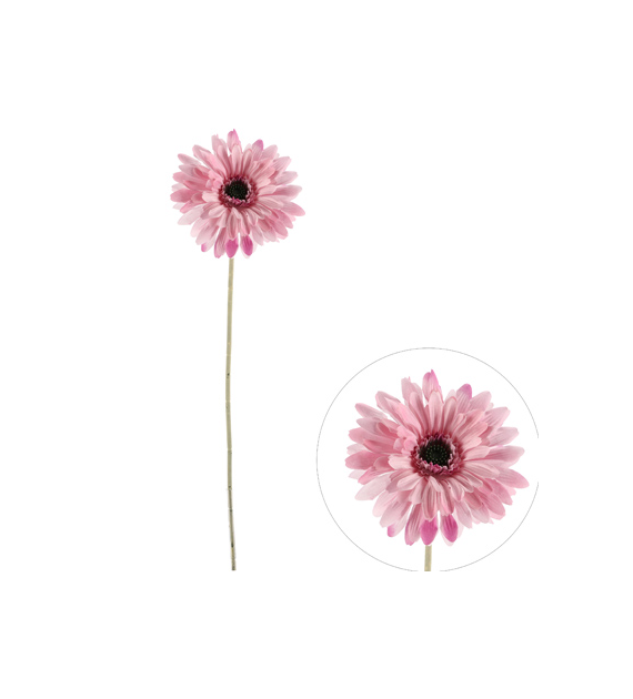 Gerbera pojedyncza na gałązce z omszałej jakości, 60cm, fiolet