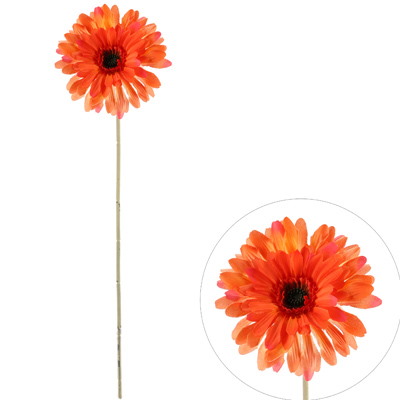 Gerbera pojedyncza na gałązce z omszałej jakości, 60cm, pomarańczowy