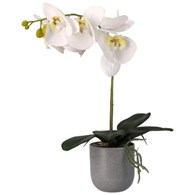 Storczyk w doniczce, 42cm, jakość silikonowa, doniczka z melaniny