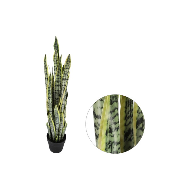 Sansewiera w doniczce plastiskowej, 85cm,  ziel