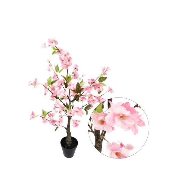 Drzewo wiśniowe w plastikowej doniczce, 80cm, róż