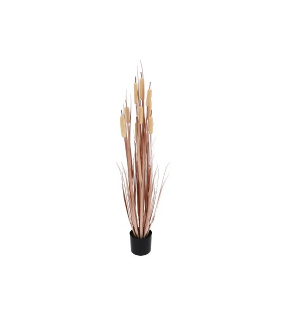 Trawa w doniczce, 122cm