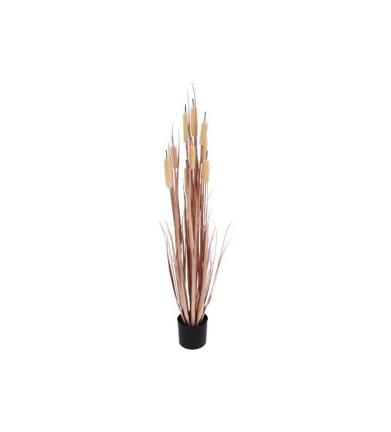 Trawa w doniczce, 122cm