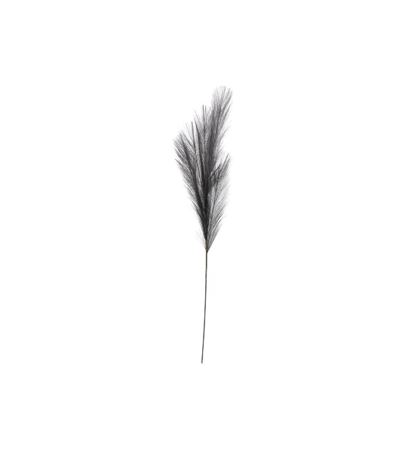 Pampas, 90cm, grafit