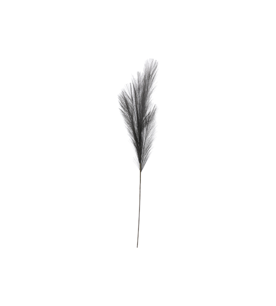 Pampas, 90cm, grafit