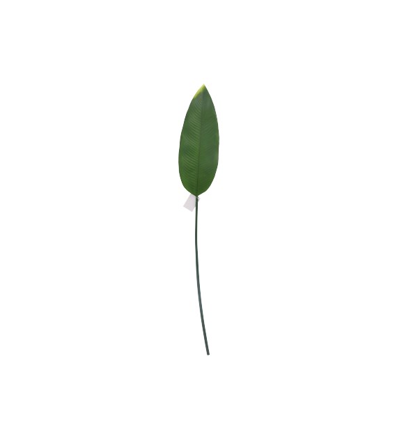 Liść strelicji, 104cm, zielony