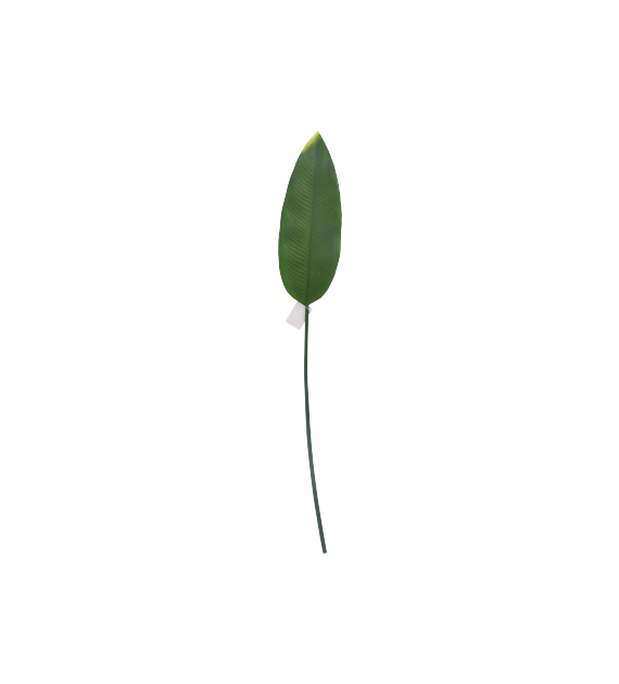 Liść strelicji, 104cm, zielony