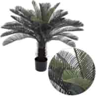 Palma w doniczce, 85cm, zielony