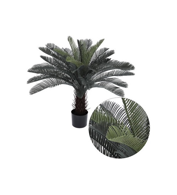 Palma w doniczce, 85cm, zielony