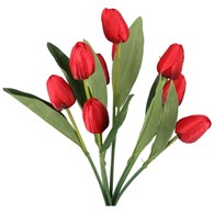 Bukiet 9 tulipanów, wys 42cm, miks kolorów