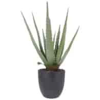 Roślina w doniczce, 45cm