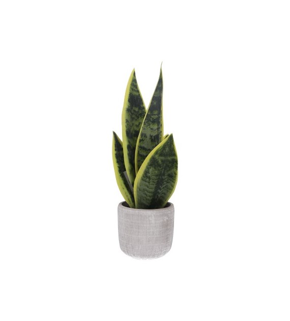 Roślina w doniczce, 31cm