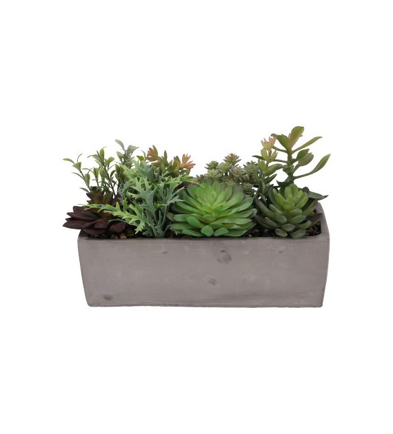 Sukulent w betonowej doniczce, 26,5x11x9, zielony