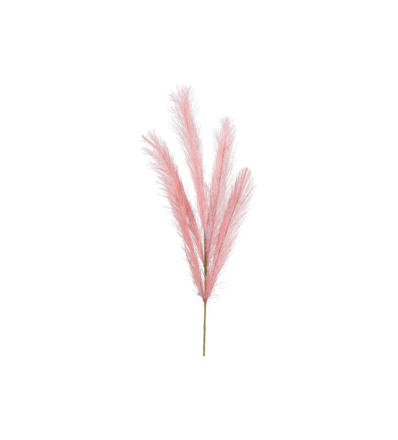 Trawa pampasowa, 80cm, różowy