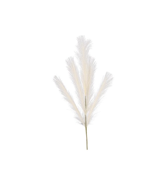 Trawa pampasowa, 80cm, beżowy