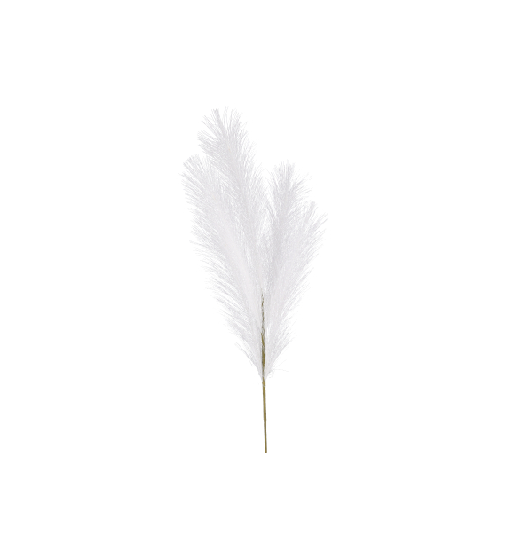 Trawa pampasowa, 80cm, biały