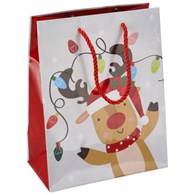 Torebka średnia, laminat błyszczący 128g/m2, 23 cm, sznurek