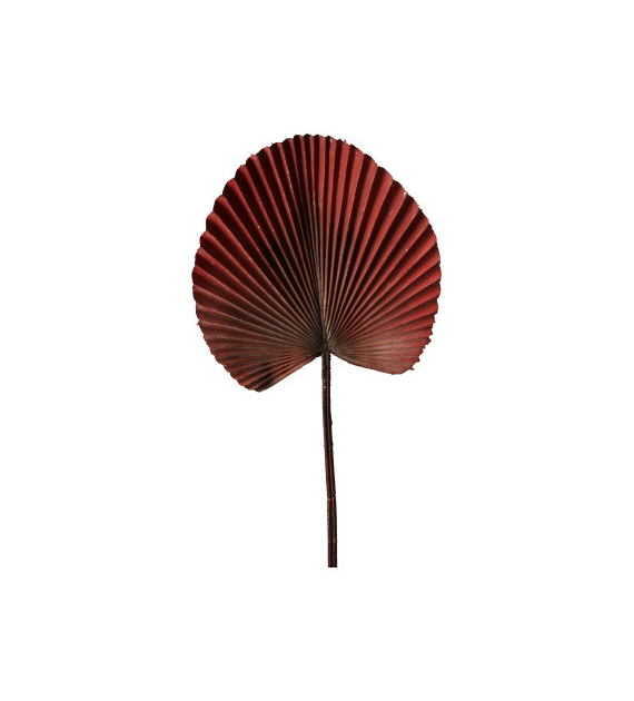 Liść palmy, 55cm, bordowy, zielony