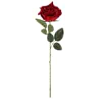 Róża z jakości velvet, 62cm, bordowy