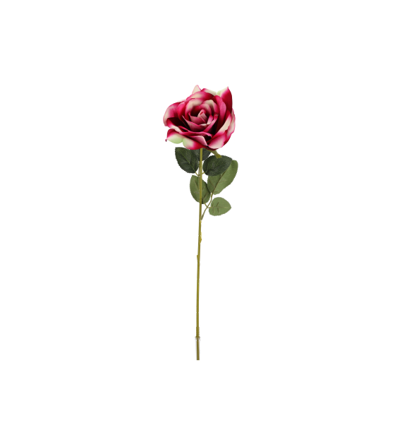 Róża z jakości velvet, 62cm, ciemny różowy