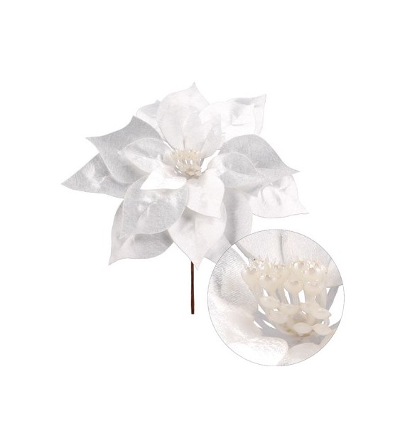 Gwiazda betlejemska pik, 24cm, perłowy
