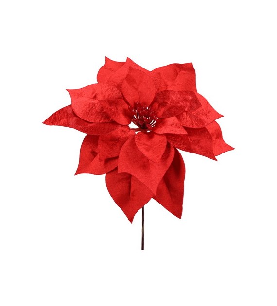 Gwiazda betlejemska pik, 24cm, czerwony