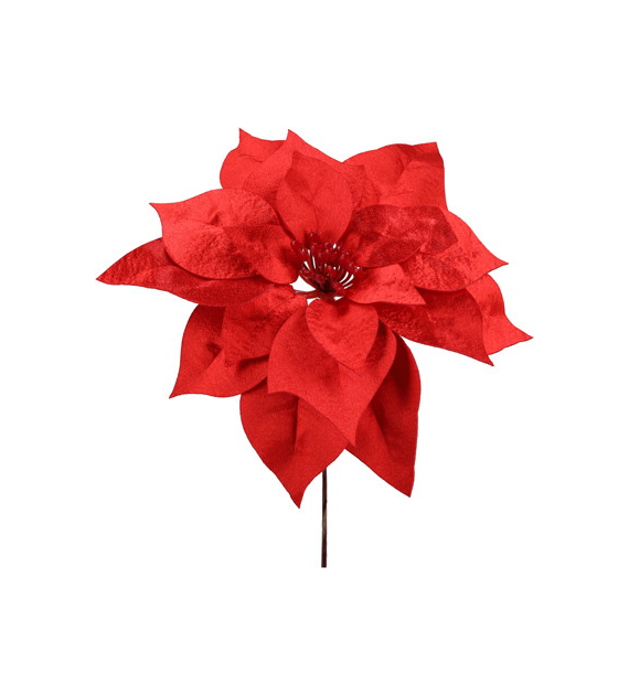 Gwiazda betlejemska pik, 24cm, czerwony