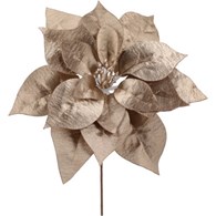 Gwiazda betlejemska pik, 24cm, szampański