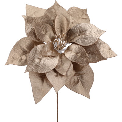 Gwiazda betlejemska pik, 24cm, szampański