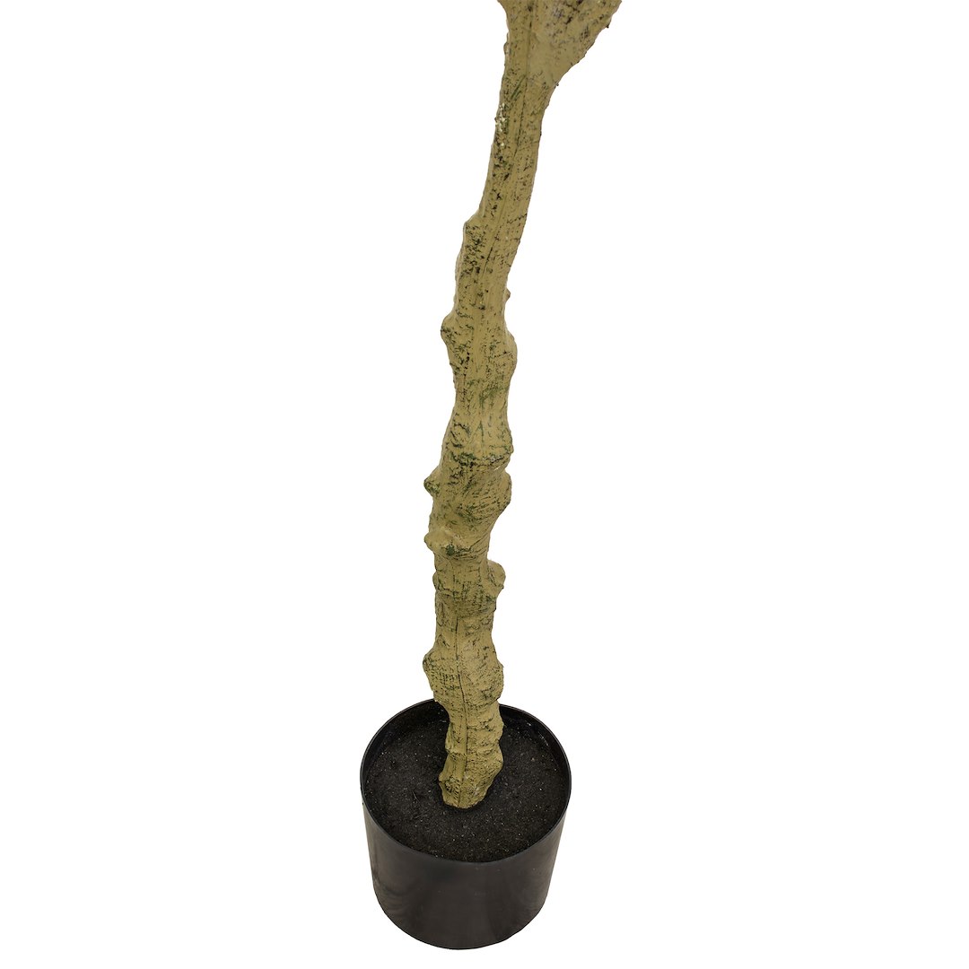 Drzewo Oliwne, 190cm - Zielony