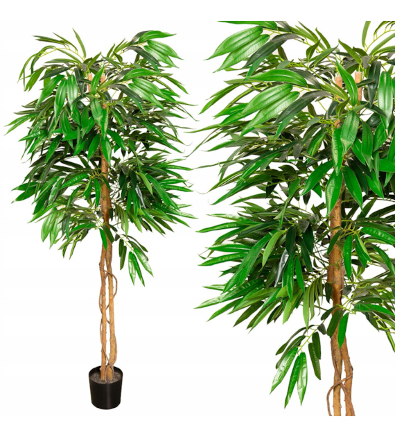 Drzewo MANGO, 180cm