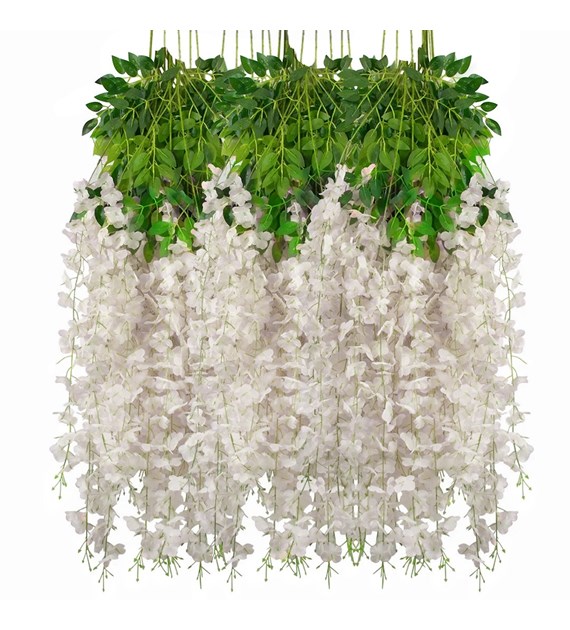 Wisteria kremowa - opakowanie 12 szt.