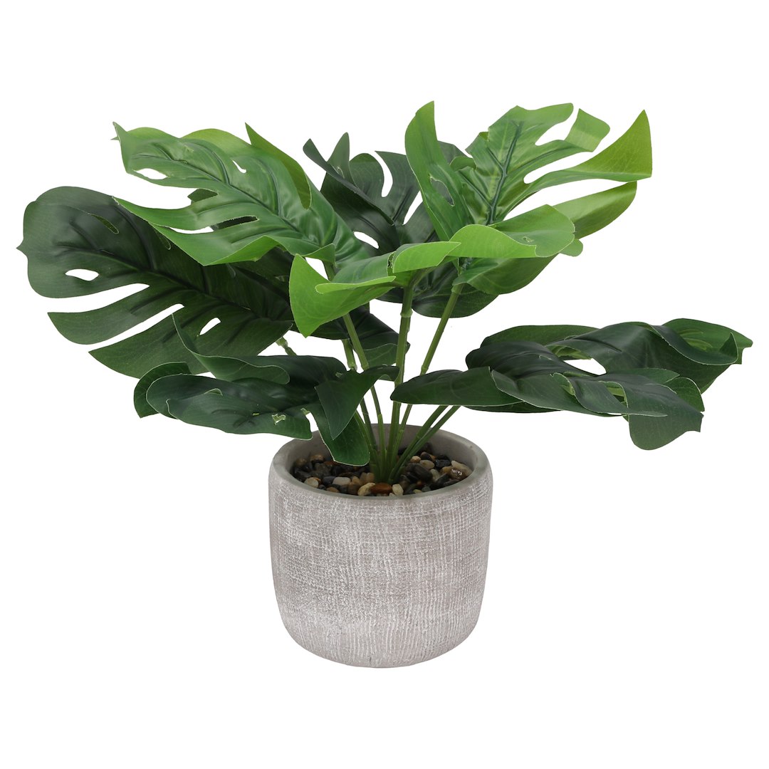 Kwiat Sztuczny W Doniczce - Monstera, 25cm, Zielony